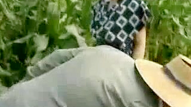 Mature Farmer Daughter Gets Pounded Amidst Swaying Rice Plants