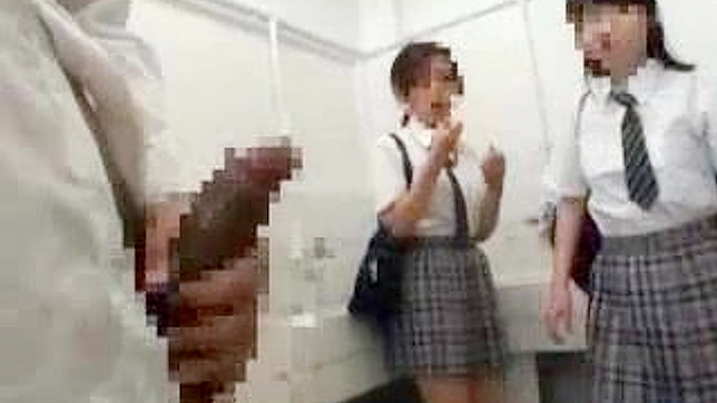 JAV Schoolgirl Gets Fucked in Toilet Stall