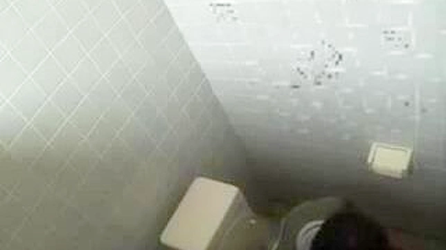 Public Toilet Quickie with Hot Nippon Girl