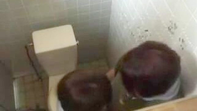 Public Toilet Quickie with Hot Nippon Girl