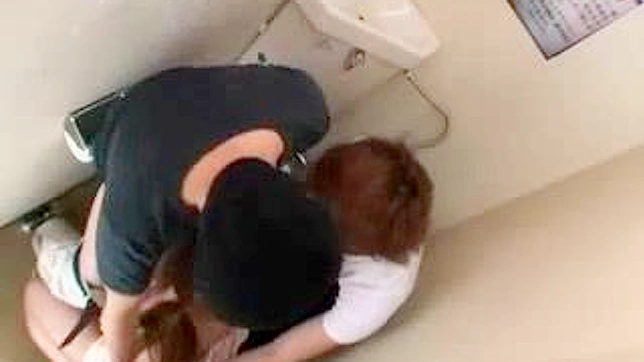 日本の公衆トイレでの痴漢とファック