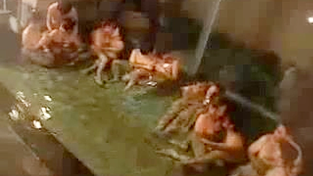 日本の風呂屋で蒸し暑いグループセックス