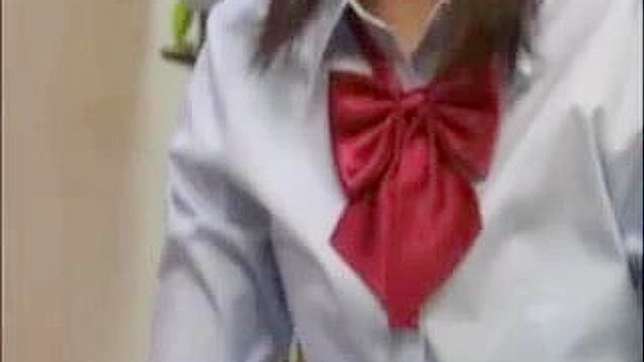 Sexy High School Student Seduces Stepbrother in Steamy Japan Porn Video