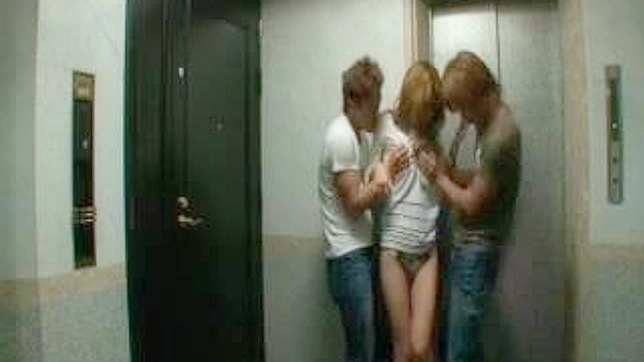 隣人と熟女を痴漢するエレベーター・ポルノ・ビデオ