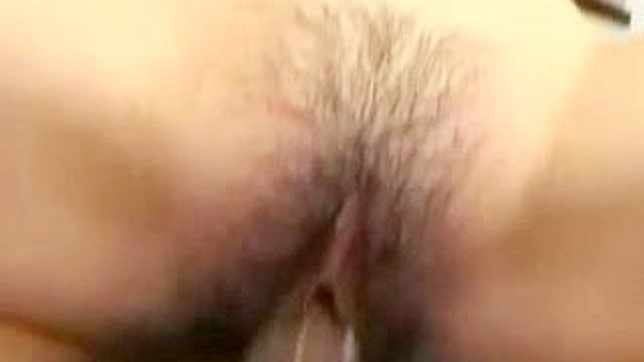 Hairypussy Loaded - A Journey into Asians Erotica