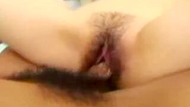 Hairypussy Loaded - A Journey into Asians Erotica