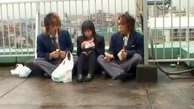 日本のティーンエイジャーが2人の友人と学校の屋根の上で秘密の手記を書いた。