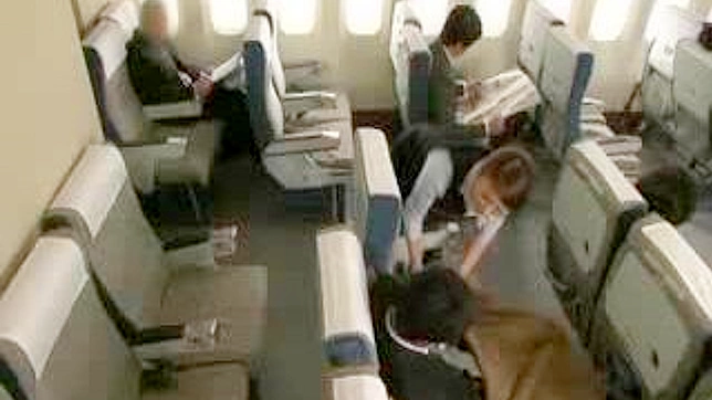 新日本航空で究極の喜びを体験しよう