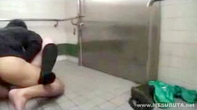 Fantasy Fuck in Public Toilet with Asians Beauty