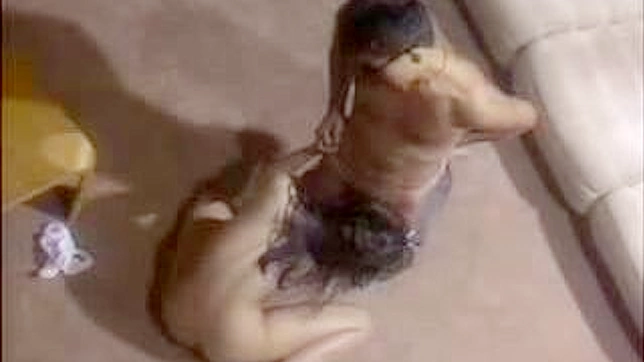 ニッポン娘による巨乳と床アクションの素人セックスビデオ