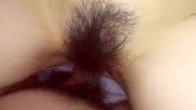 Hairy Pussy Destruction by Asian Beauty