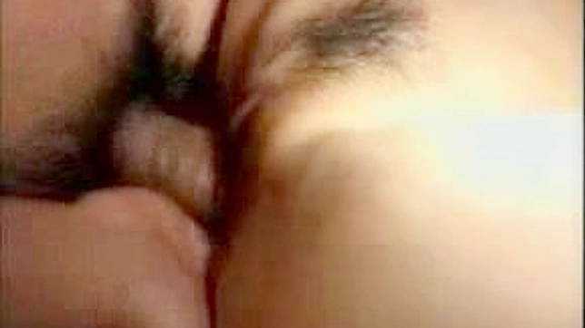 Fingered and Fucked Roughly in Both Holes by a Asian Beauty