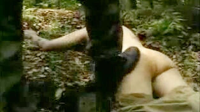 オリエンタル・アーミー・セクシュアル・コンクェスト - すべての兵士と捕らわれのメスをフィーチャーしたポルノ・ビデオ