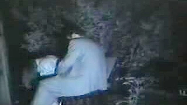 東洋人女性による公衆公園でのフェラチオが隠しカメラで撮影される