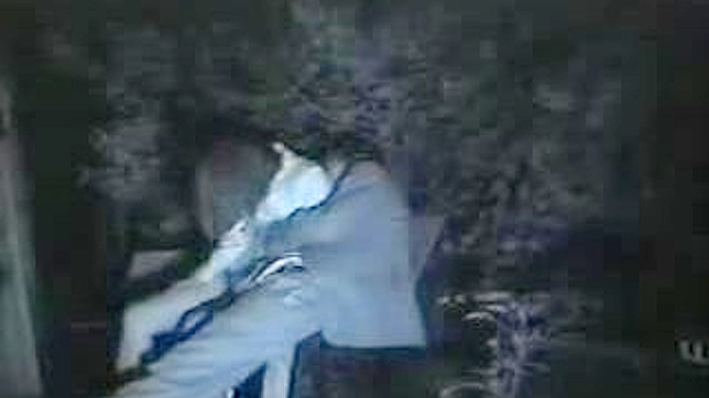 東洋人女性による公衆公園でのフェラチオが隠しカメラで撮影される