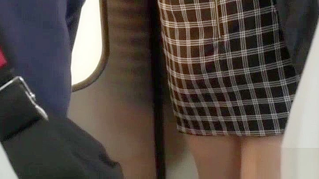 日本のポルノビデオ - 人妻教師が電車の中で巨乳ティーンに痴漢する