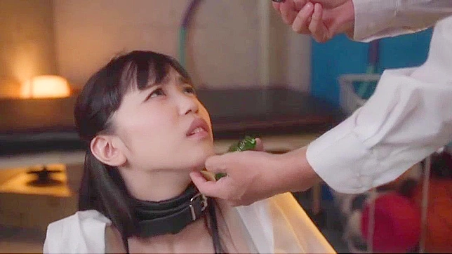 日本のAV女優が毛深いアジア人教師と無修正POVでディープスロートする