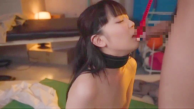 Japanese Porn Star's Deep Throat Uncensored POV with Hairy Asian Teacher