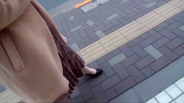 巨乳の日本人熟女、路上でパイを頬張る