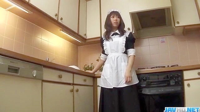 Japanese Maid Aiuchi Shiori's Sultry Succulent Service!