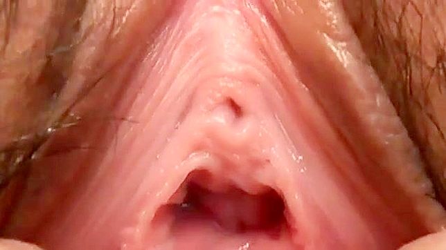 Juicy and Soaking Wet Asian Pussy in Close-Up: Uncensored and Uncut