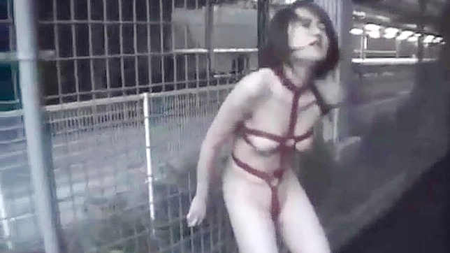 Extremely depraved Japanese slut goes completely wild and insane.