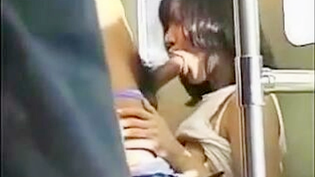 Sexy Japanese Woman Gets Pounded on Public Transportation