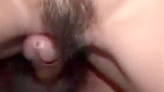 Japanese Hairy Pussy Crammed with Horny Filler for Ultimate Pleasure