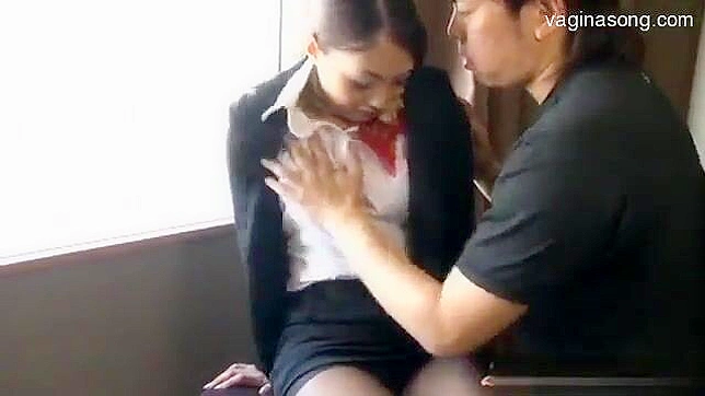 Japanese Air Hostess: Roughly Fucked  Profoundly Satisfied
