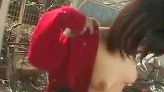 Japanese slut gets nasty in public: Exposed