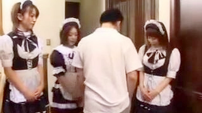 Japanese Maid Serves Your Wildest Fantasies with Sizzling Siren Sex!