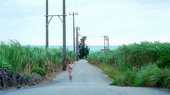 Japanese slutty stupid girl stripping and playing at the side of the road