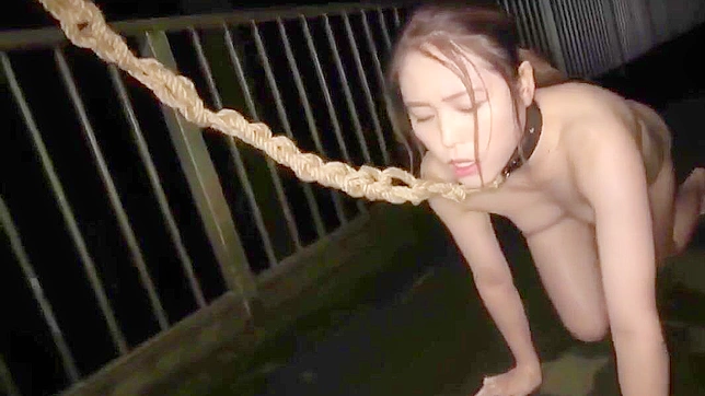 Bound, Gagged and Fucked! Jap MILF Brutally Fucked, She Crying for More!