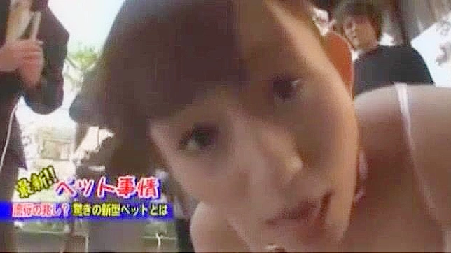 Japanese Pornstar Mika Osawa's Hottest JAV Scene Compilation