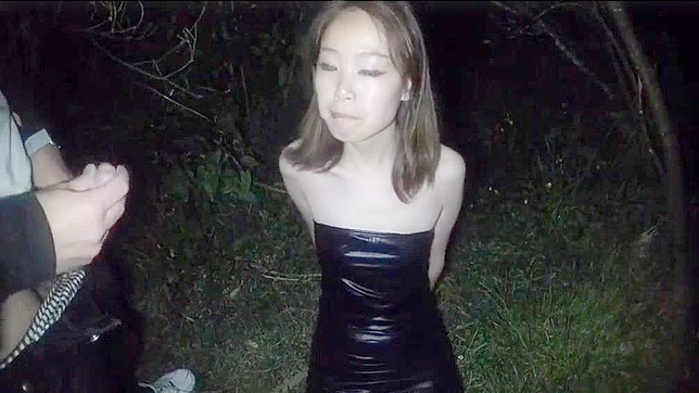 Japanese Wife Gets Public Bukkake Surprise in the Park