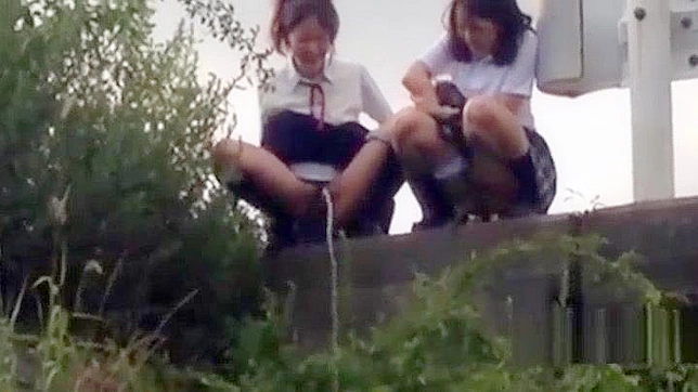 Jav Schoolgirl Pissing Compilation - Exclusive Japanese Asian Teen Outdoor Fun