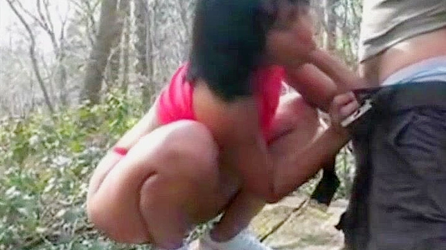 Japanese Milf Seduced By Stranger In Nature