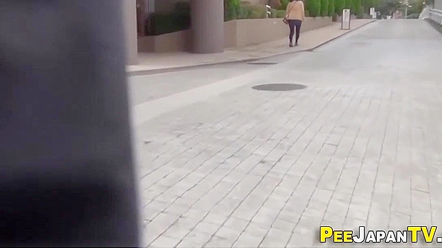 Jav Skank Peeing in Public on Japanese Street