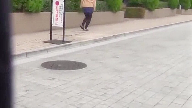Jav Skank Peeing in Public on Japanese Street
