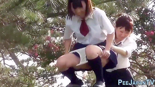 Jav Pee Play ~ Kinky Japanese Pee Park