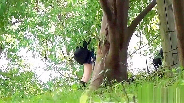 Jav Pornstar Receives Rough Piss Play in Public Park - Jap Fetish Video