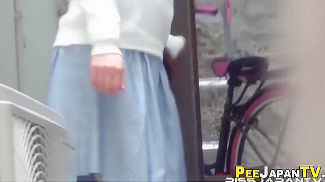 Japanese Panties, Pee and Street View - Super Exciting and Taboo!