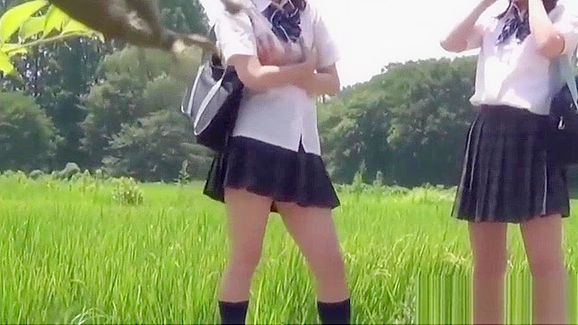 Japanese Teens Wild Outdoor Peeing ~ Bizarre Jav Porn Video