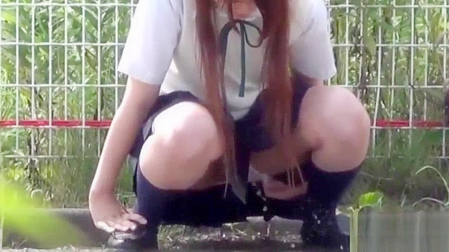 Jav Teenstudent Pissoutdoor