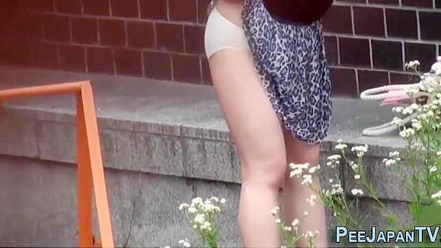 Japanese Peeing in Public - Strange Porn Video