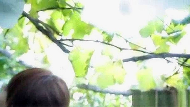 Jav Milf Akiho Yoshizawa Gets Blowjob Outdoors