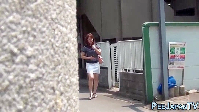 Japana-t across Traffic Cams! Public Pussy Party with Pissing MILFs