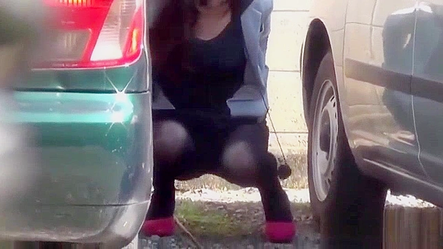 Jav Porn Video ~ Public Urination by Hot Asian Women