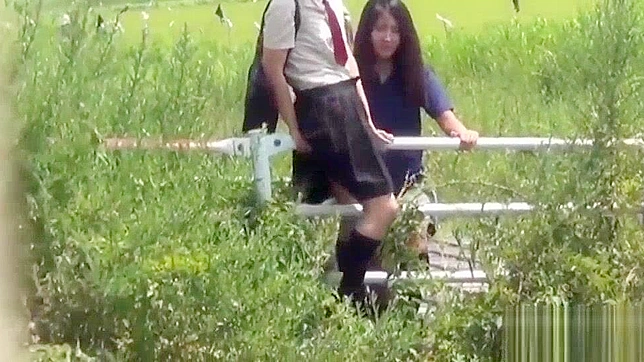 Watch Jav Teens Golden Shower in a Rural Field - Full HD Video