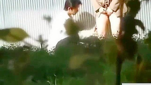 Watch Jap Babe Exposes Herself in Public During Daylight Sex - Outdoor Exposure